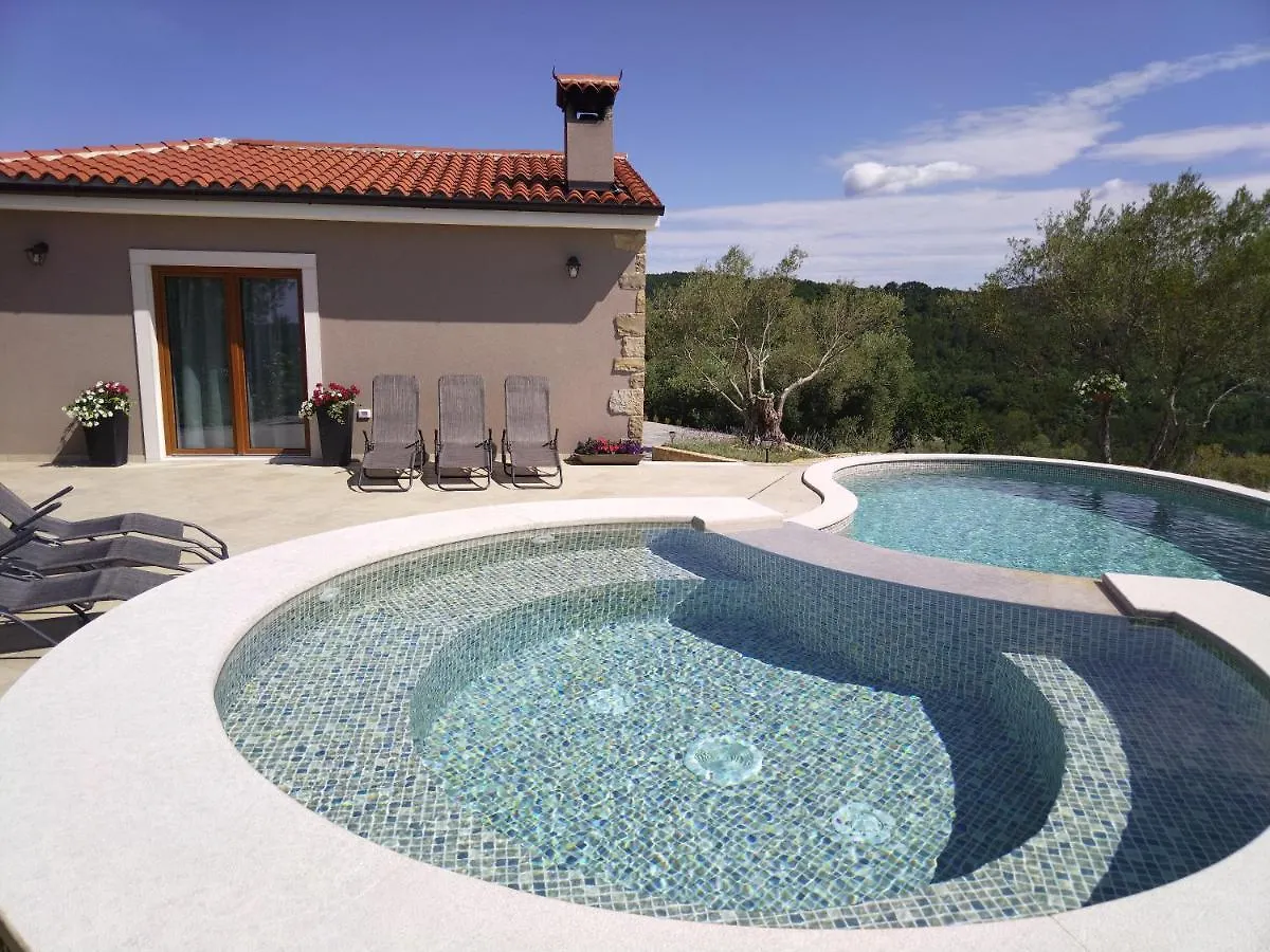 Villa Meloni Motovun